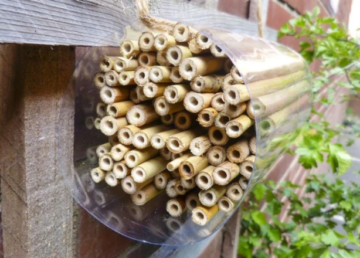 Domek dla pszczół wykonany z plastikowej butelki